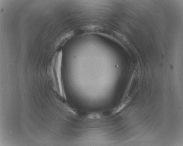 X0000075840762200610061847