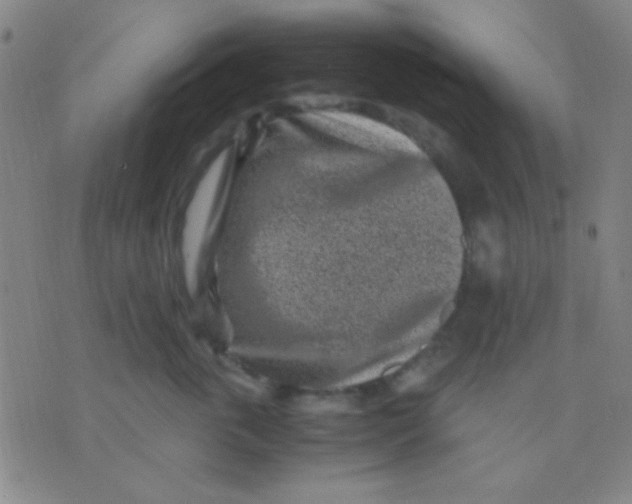 X0000075840763200610061847