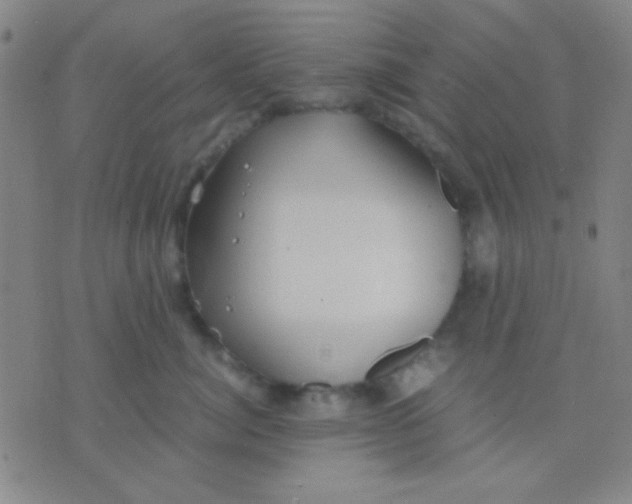 X0000075840764200610061847