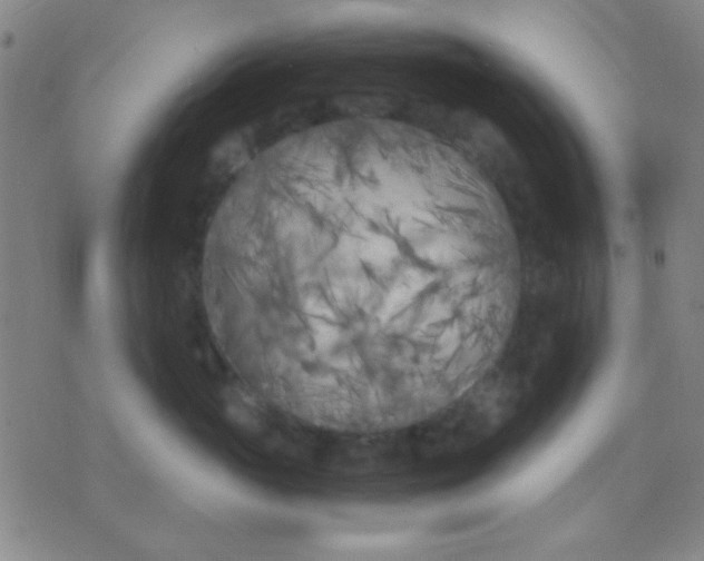 X0000075840765200610061847