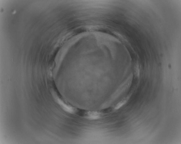 X0000075840766200610061847