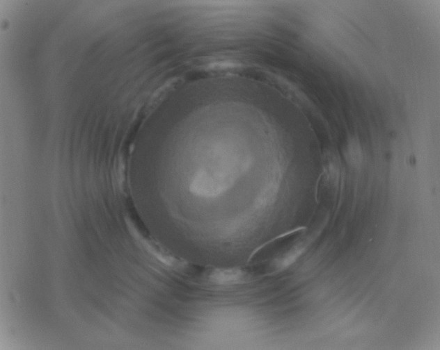 X0000075840767200610061847