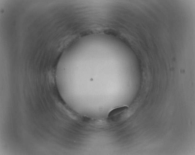 X0000075840768200610061847