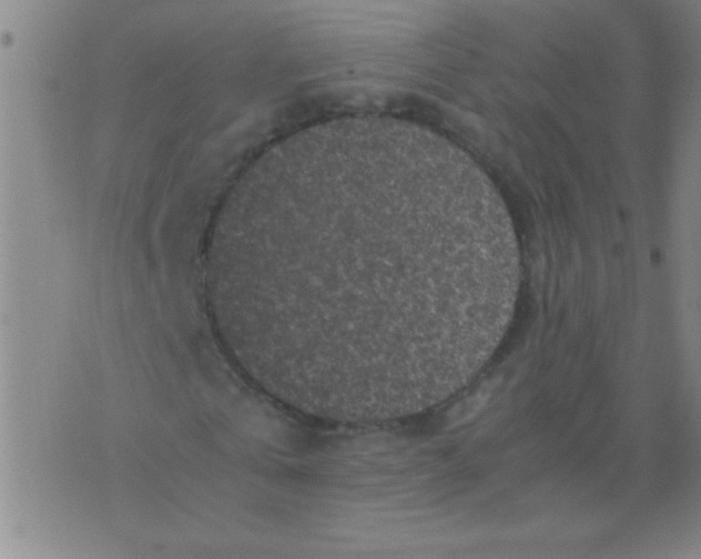 X0000075840769200610061846