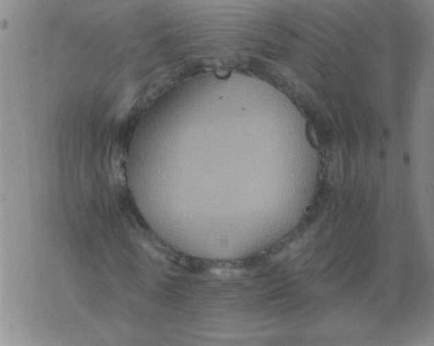 X0000075840770200610061846