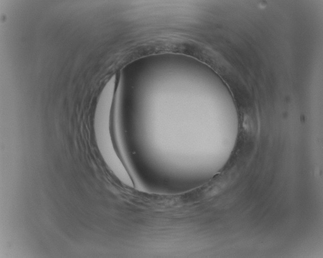 X0000075840771200610061846