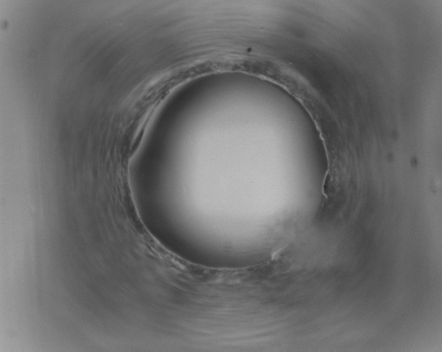 X0000075840773200610061846