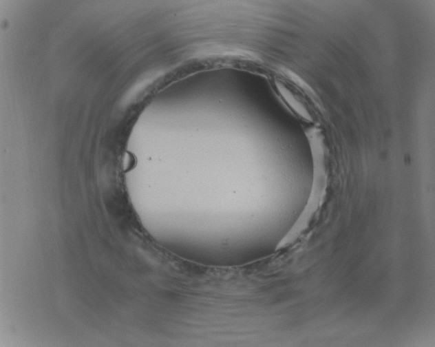 X0000075840775200610061846