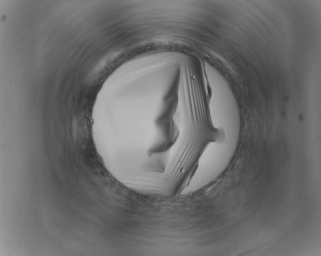 X0000075840776200610061846