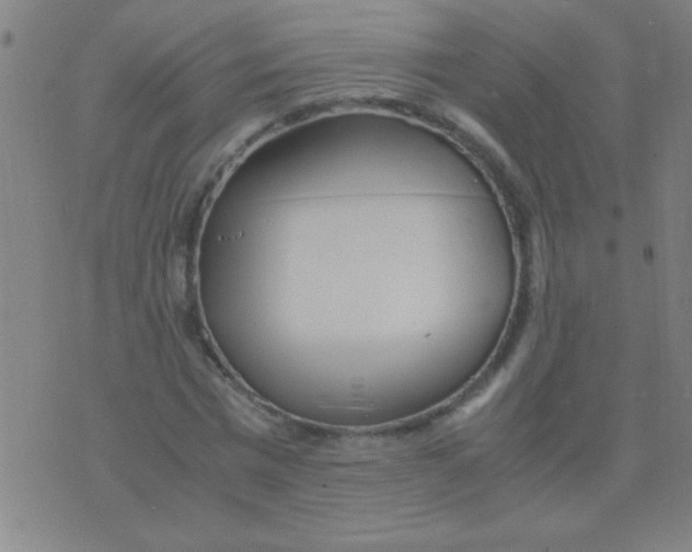 X0000075840777200610061846