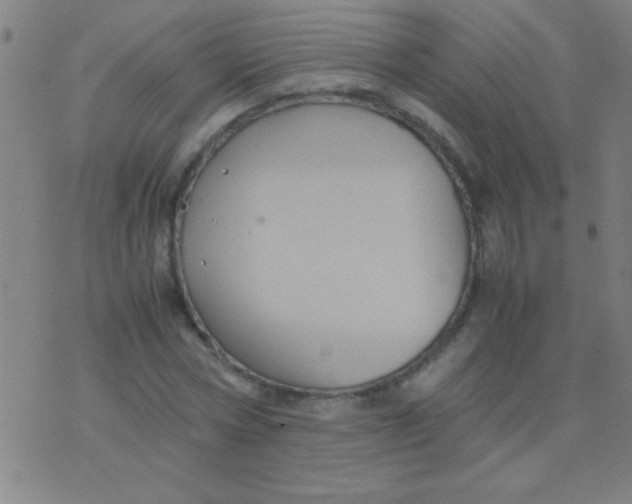 X0000075840778200610061846