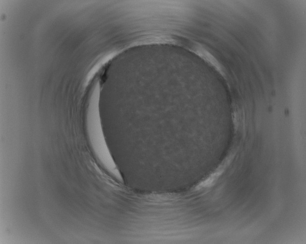 X0000075840781200610061846