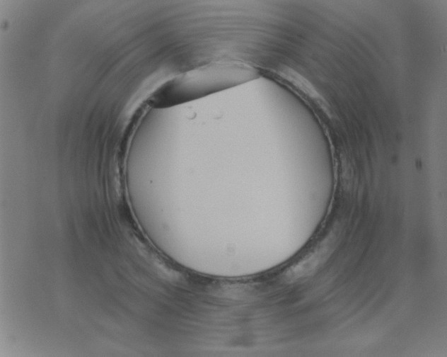 X0000075840782200610061846