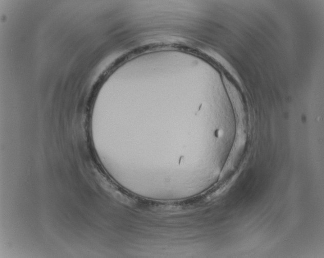 X0000075840783200610061846