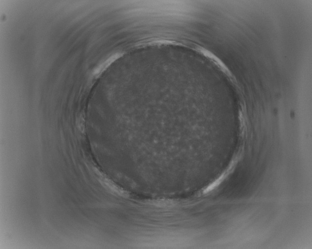 X0000075840785200610061846