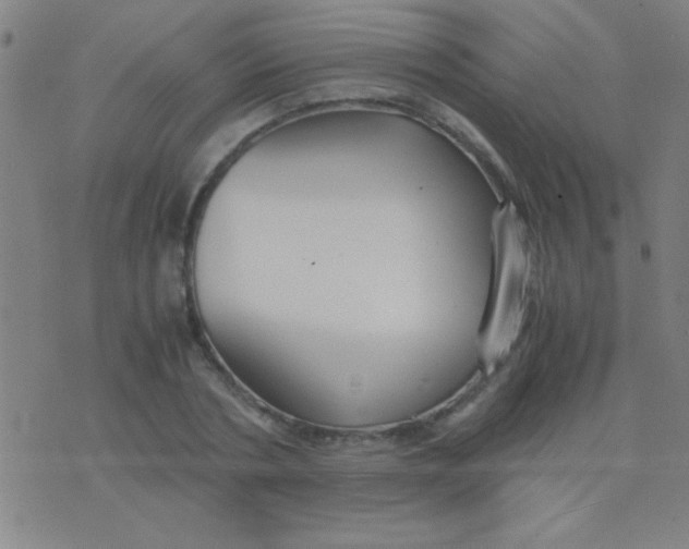 X0000075840786200610061846