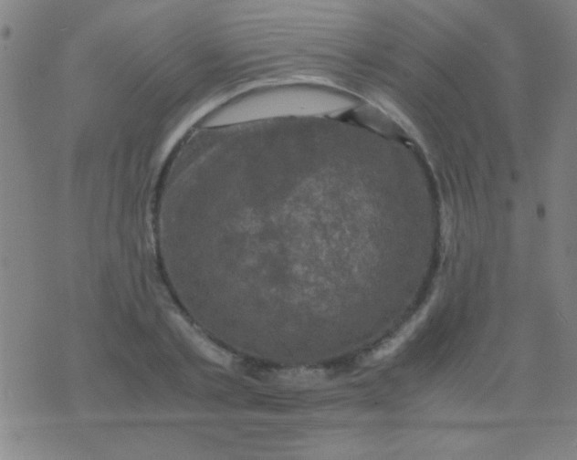 X0000075840789200610061846