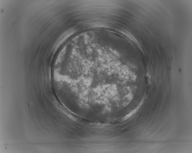 X0000075840790200610061846