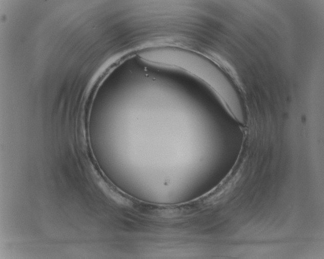 X0000075840792200610061846