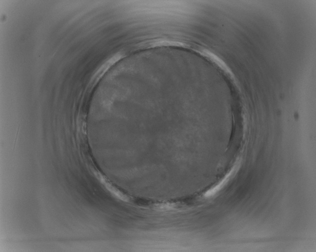 X0000075840793200610061846