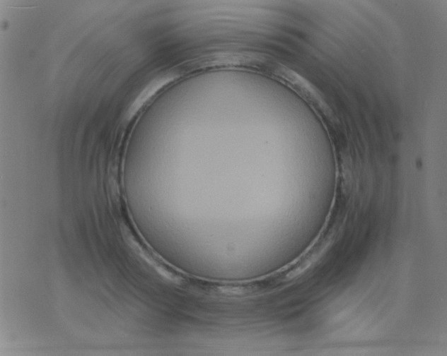 X0000075840794200610061846