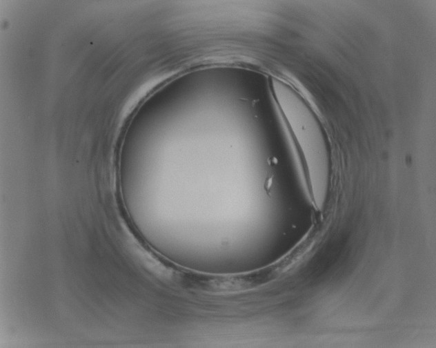 X0000075840795200610061846