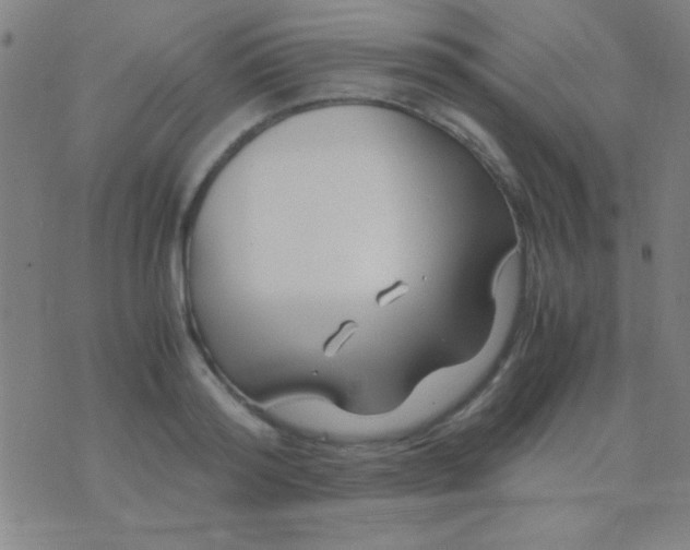 X0000075840796200610061846