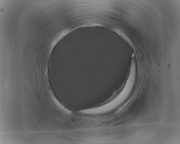 X0000075840797200610061846