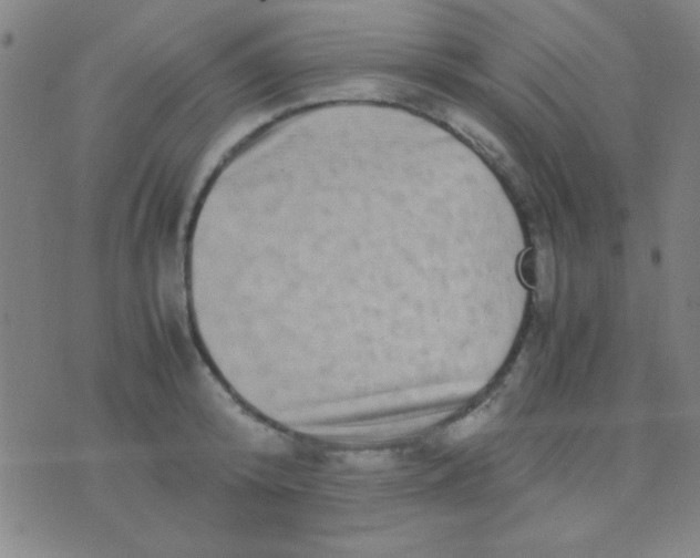 X0000075840800200610061846