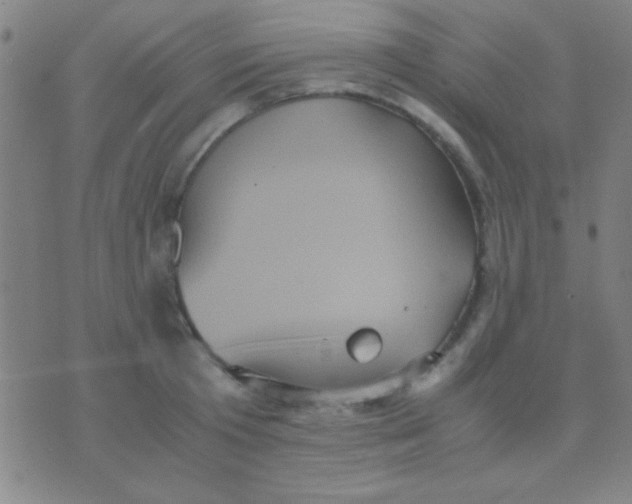 X0000075840801200610061846