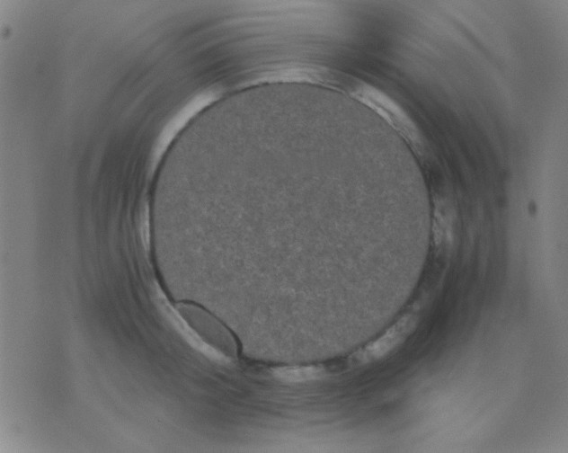 X0000075840804200610061846