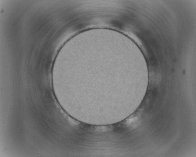 X0000075840807200610061845