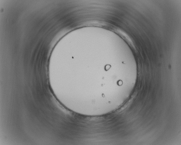 X0000075840808200610061845