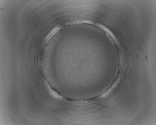 X0000075840809200610061845