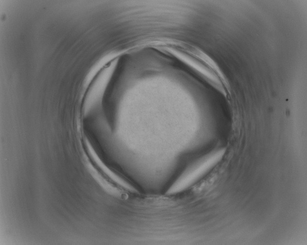 X0000075840811200610061845