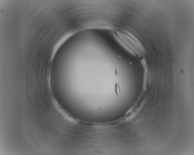 X0000075840812200610061845