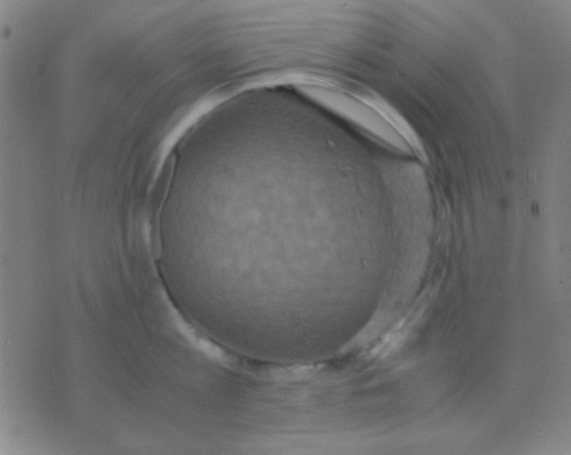 X0000075840813200610061845