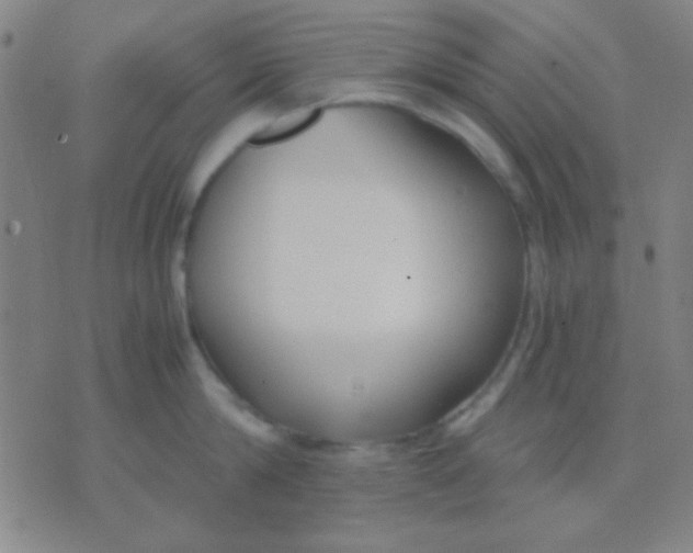 X0000075840814200610061845