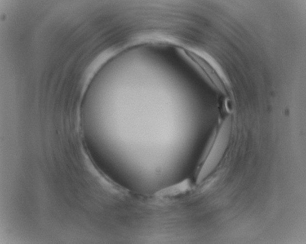 X0000075840815200610061845