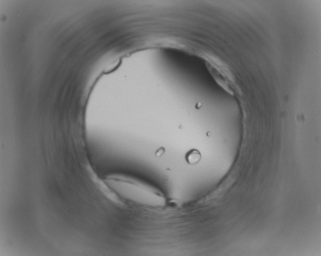 X0000075840816200610061845