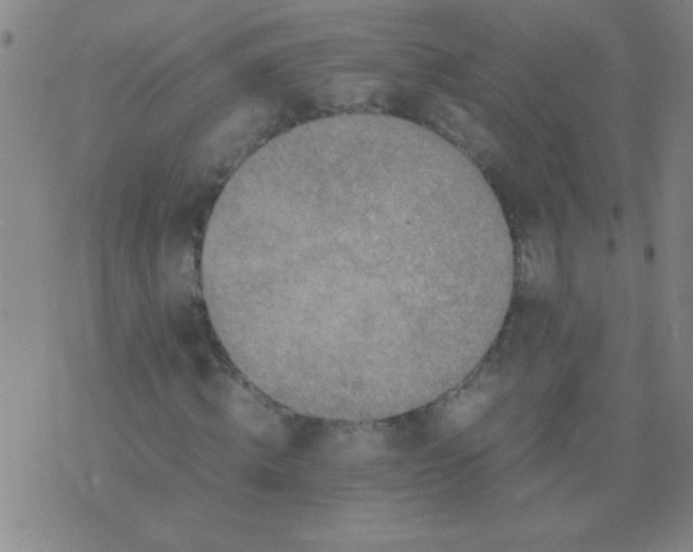 X0000075840820200610061845