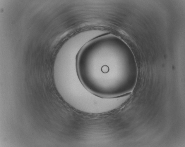 X0000075840822200610061845