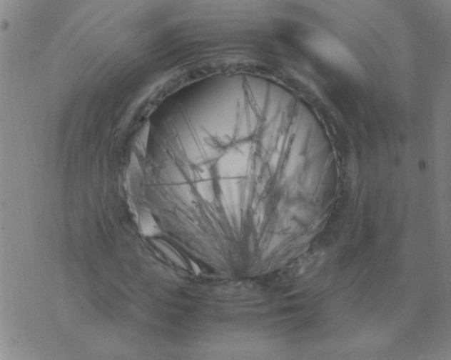 X0000075840823200610061845