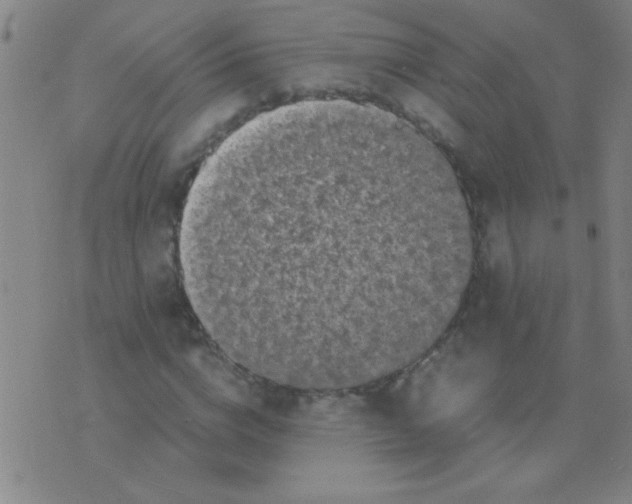 X0000075840824200610061845