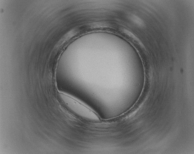 X0000075840825200610061845