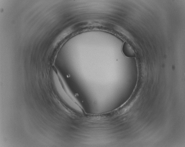 X0000075840826200610061845