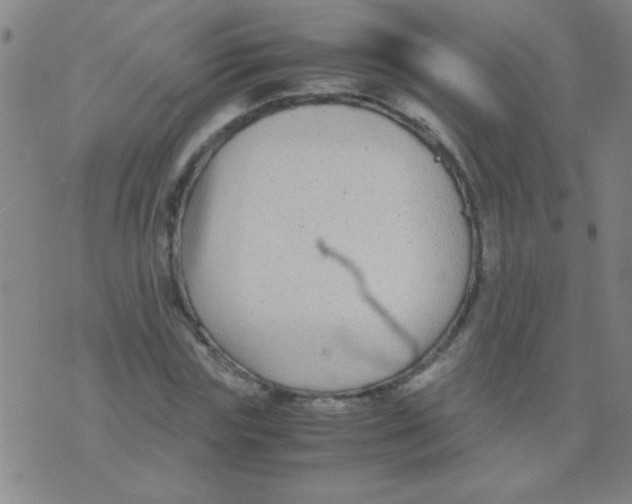 X0000075840827200610061845