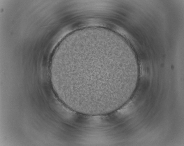 X0000075840828200610061845