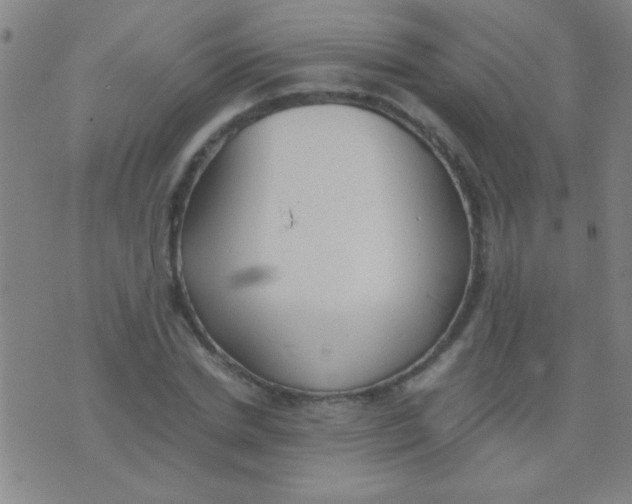 X0000075840830200610061845