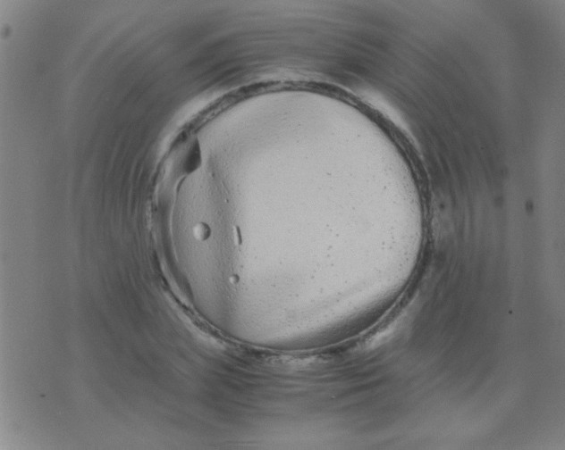 X0000075840831200610061845